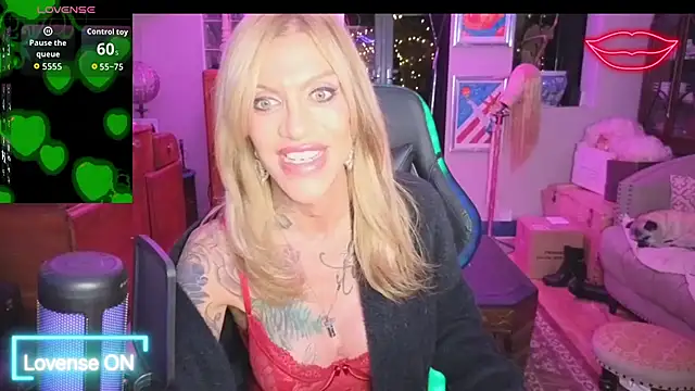 xl uk top trans online show from April 2026 10:12:02 PM