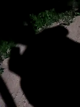 Sapna cutt online show from September 2025 11:49:02 PM