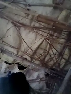 Sapna cutt online show from October 2025 12:28:02 PM