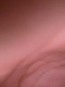 aninha21 online show from December 2025 02:04:01 PM