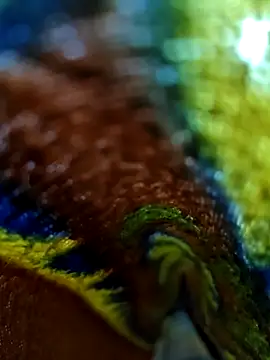 Chanti8096 online show from December 2025 05:43:02 PM