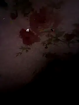 Snapshot of SummerArthur chatting on September 2025 09:09:01 PM SummerArthur online show from September 2025 09:09:01 PM