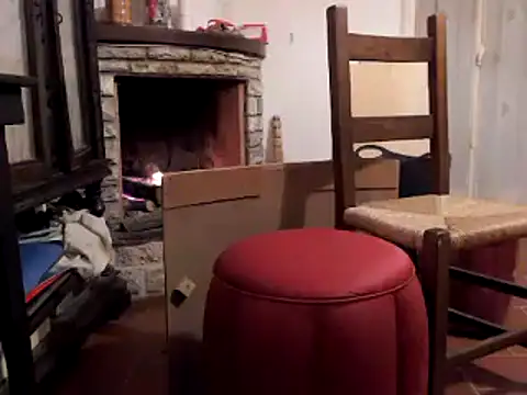 Snapshot of cpvento chatting on October 2025 05:33:01 PM cpvento online show from October 2025 05:33:01 PM