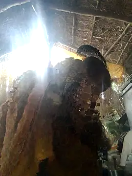 LUCKY cut online show from November 2025 03:05:01 AM