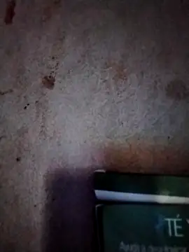  tetas 92 online show from March 2026 01:30:01 PM