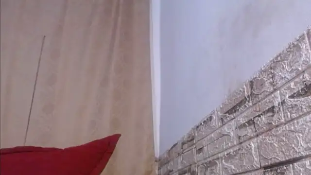 Bicky 24 online show from May 2026 08:54:01 AM