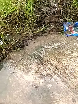 Snapshot of Rahul_Razz chatting on September 2025 04:01:02 AM Rahul Razz online show from September 2025 04:01:02 AM