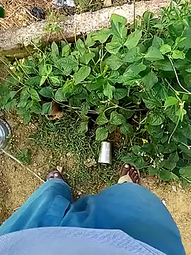 Snapshot of Rahul_Razz chatting on October 2025 01:06:02 AM Rahul Razz online show from October 2025 01:06:02 AM