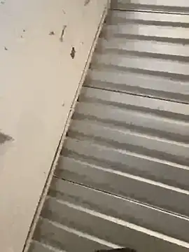 Chico031289 online show from February 2026 08:21:01 PM