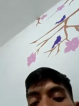 Snapshot of DavidVergagigante420 chatting on October 2025 05:20:02 AM DavidVergagigante420 online show from October 2025 05:20:02 AM