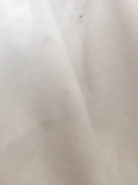 mecchauddu14 online show from September 2025 12:37:02 PM