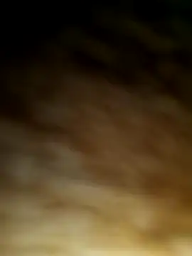 WolfMenSL online show from October 2025 03:37:02 AM