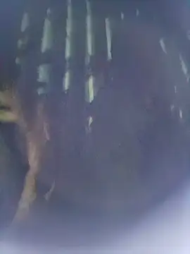 Snapshot of 8133vaibhavh chatting on October 2025 02:48:01 PM 8133vaibhavh online show from October 2025 02:48:01 PM