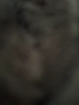 Immerhartundgeil online show from May 2026 06:18:01 AM