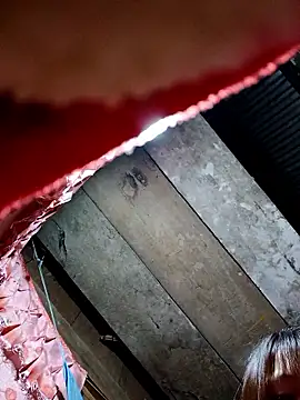 kata-00 online show from January 2026 03:34:02 AM