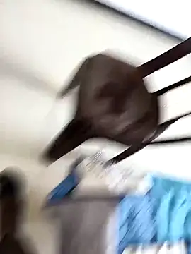 Chanderi19 online show from September 2025 09:25:02 AM