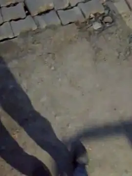 haryanaboypanipat12 online show from March 2026 01:25:01 PM