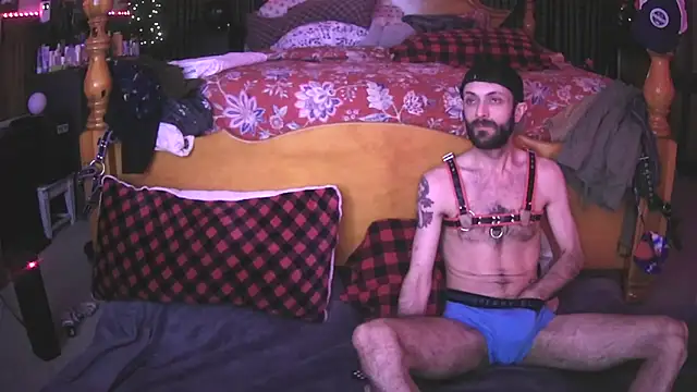 Snapshot of HarmoniousPhantasm3 chatting on November 2025 12:21:01 AM HarmoniousPhantasm3 online show from November 2025 12:21:01 AM