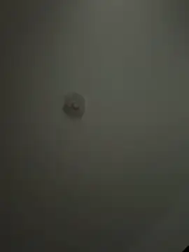 Andrestarr online show from April 2026 02:04:02 PM