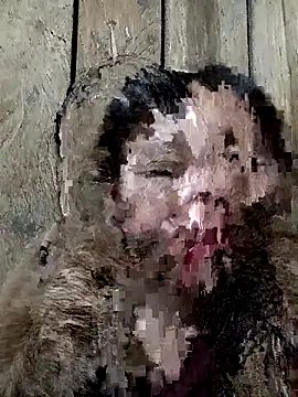 bonnie-00 online show from November 2025 11:40:02 AM