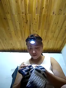 Snapshot of Dung_x chatting on October 2025 11:29:02 AM Dung x online show from October 2025 11:29:02 AM