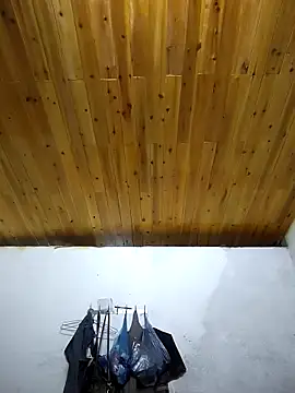 Snapshot of Dung_x chatting on October 2025 11:52:02 AM Dung x online show from October 2025 11:52:02 AM