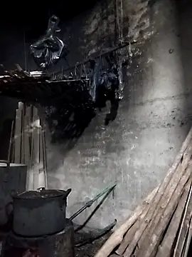 Dung x online show from March 2026 01:00:01 PM