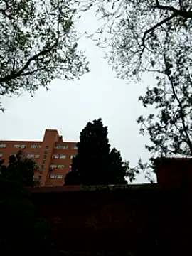 Snapshot of oliver_sanders chatting on March 2026 08:29:01 AM oliver sanders online show from March 2026 08:29:01 AM