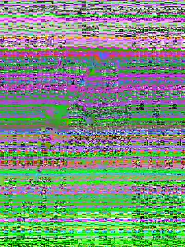 Snapshot of MaddyX__ chatting on November 2025 07:21:01 PM MaddyX online show from November 2025 07:21:01 PM