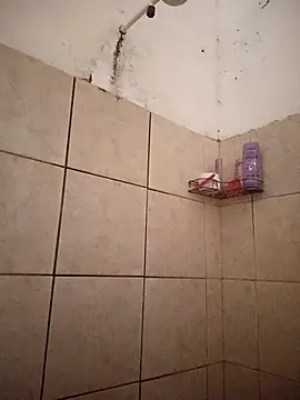 Snapshot of Milenvs chatting on September 2025 01:31:02 AM Milenvs online show from September 2025 01:31:02 AM