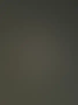 Nataku10 online show from December 2025 11:35:01 PM