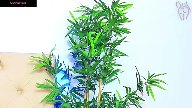 CoraVex online show from September 2025 06:03:01 AM