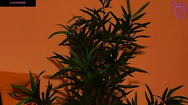 CoraVex online show from September 2025 04:27:01 AM