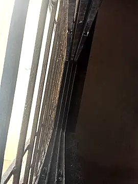 ipvk online show from March 2026 06:28:02 AM