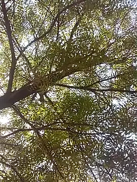 ipvk online show from April 2026 04:23:02 AM