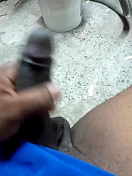 Snapshot of preto3561 chatting on February 2026 01:37:01 PM preto3561 online show from February 2026 01:37:01 PM