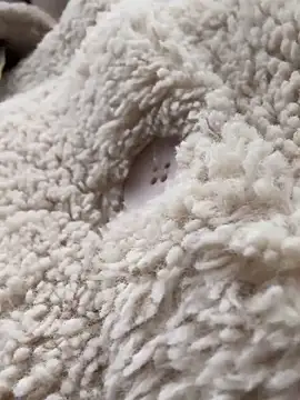 RonnieKiss online show from October 2025 03:25:01 AM