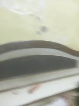 Cute-Charvii online show from November 2025 06:38:02 AM