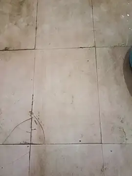 Snapshot of TeluguCuplehyd chatting on September 2025 11:17:02 PM TeluguCuplehyd online show from September 2025 11:17:02 PM