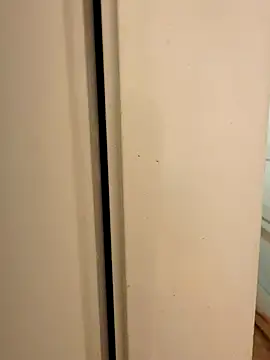 hhhajjib online show from November 2025 05:19:01 PM