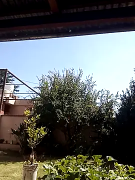 -Axelconda420 online show from March 2026 04:57:01 PM