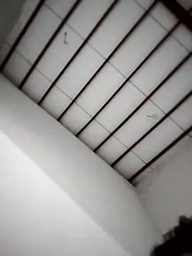 Yakpatiya7788 online show from September 2025 06:33:02 PM