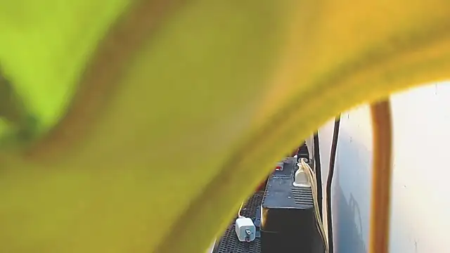 Snapshot of AnySugar chatting on February 2025 07:50:02 PM AnySugar online show from February 2025 07:50:02 PM