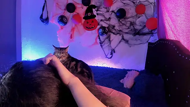 kitty  chs online show from November 2025 05:26:02 PM