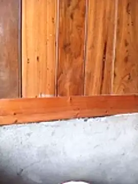 Mai lovely online show from February 2026 03:50:01 AM