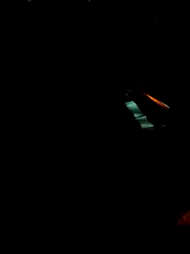 Snapshot of Gigolo31per31 chatting on October 2025 02:25:02 AM Gigolo31per31 online show from October 2025 02:25:02 AM