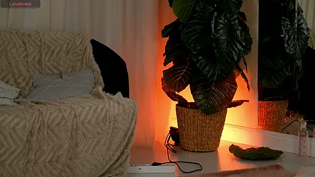 EvaAmanti online show from January 2026 04:39:02 AM