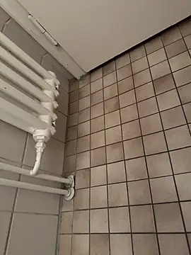 Snapshot of Penisbrutaldick chatting on March 2025 07:23:01 PM Penisbrutaldick online show from March 2025 07:23:01 PM