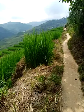 Snapshot of nhinhi-sexy chatting on October 2025 05:39:02 AM nhinhi-sexy online show from October 2025 05:39:02 AM