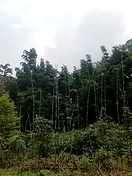 Khanhu xx online show from March 2026 01:32:01 AM